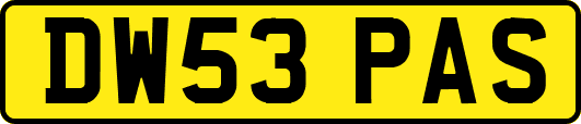 DW53PAS