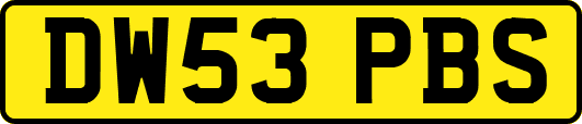 DW53PBS