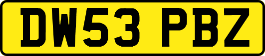 DW53PBZ