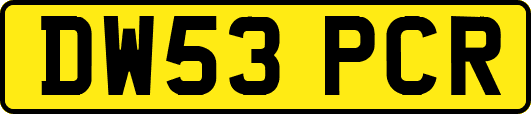 DW53PCR