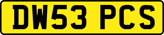 DW53PCS