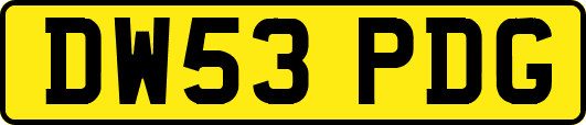 DW53PDG