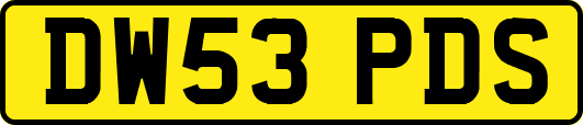 DW53PDS