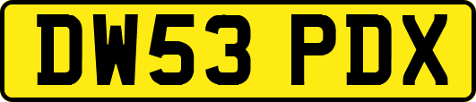 DW53PDX
