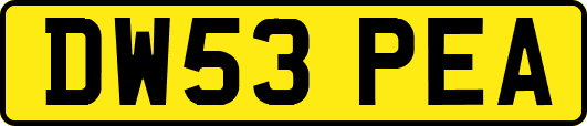 DW53PEA