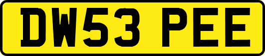DW53PEE