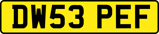 DW53PEF