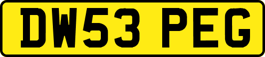 DW53PEG