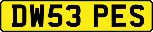 DW53PES