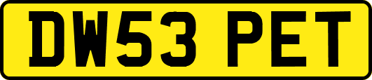 DW53PET
