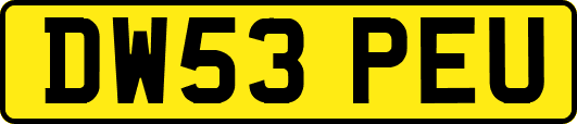 DW53PEU