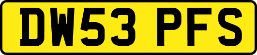 DW53PFS