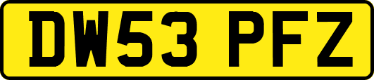 DW53PFZ