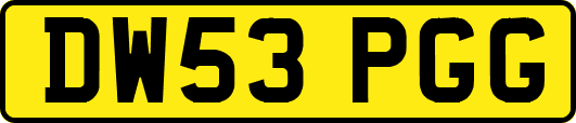 DW53PGG