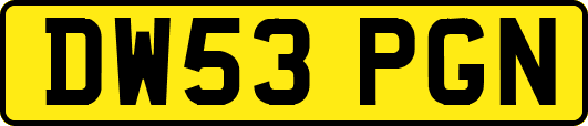 DW53PGN