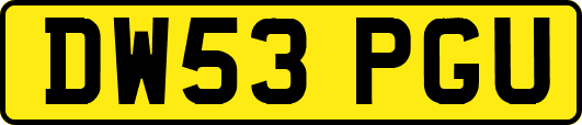 DW53PGU