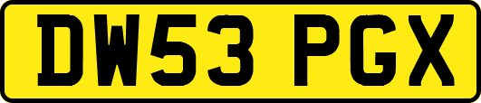 DW53PGX