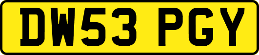 DW53PGY