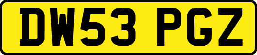 DW53PGZ