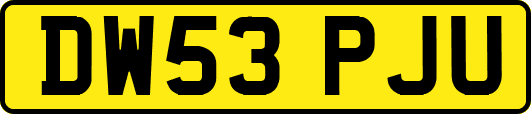 DW53PJU