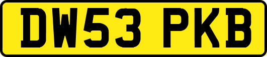 DW53PKB