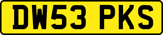 DW53PKS