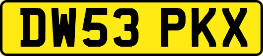 DW53PKX