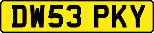 DW53PKY