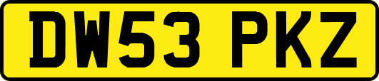 DW53PKZ