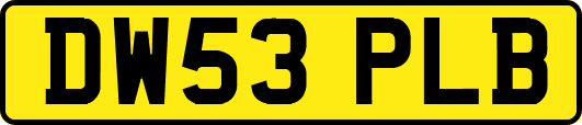 DW53PLB