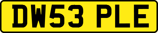 DW53PLE