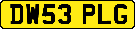 DW53PLG