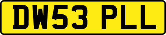 DW53PLL