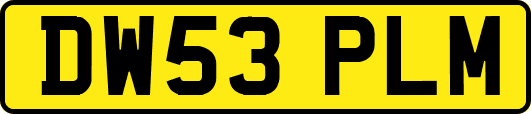 DW53PLM