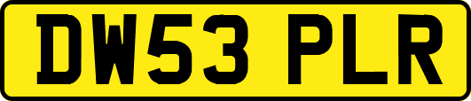 DW53PLR