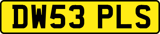 DW53PLS