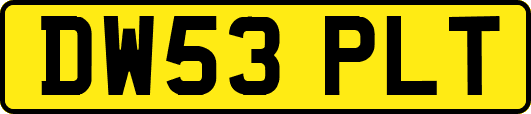 DW53PLT
