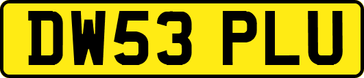 DW53PLU