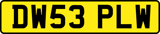 DW53PLW