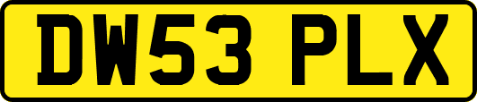 DW53PLX
