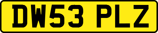 DW53PLZ