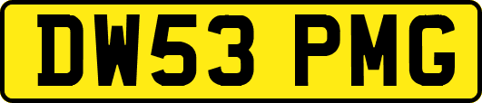 DW53PMG