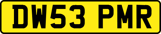 DW53PMR