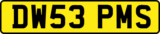 DW53PMS
