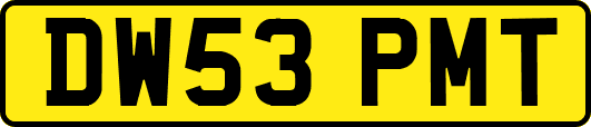 DW53PMT