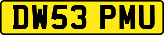 DW53PMU