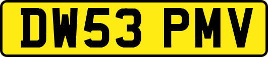 DW53PMV