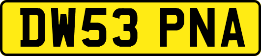 DW53PNA