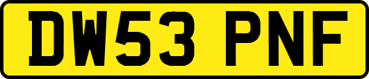 DW53PNF