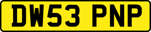 DW53PNP